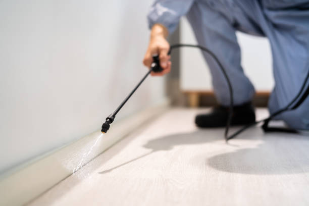 Licensed Fumigation Services service in New Castle, CO - Nex Pest Control