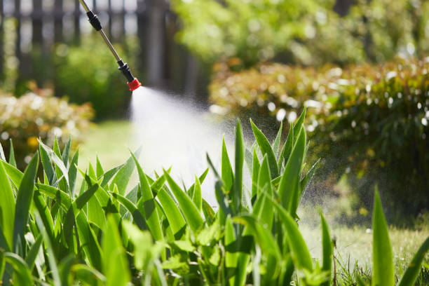 24/7 Emergency Fumigation Services experts in New Castle, CO