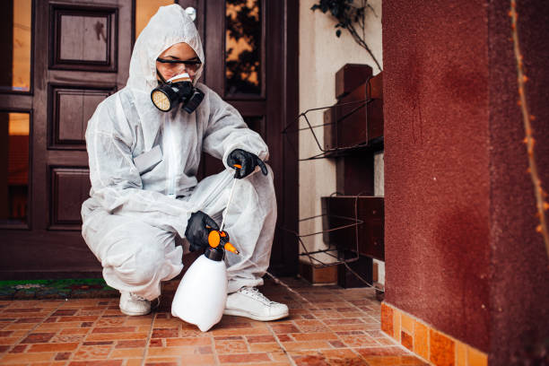 Reliable Fumigation Services contractor in New Castle, CO by Nex Pest Control