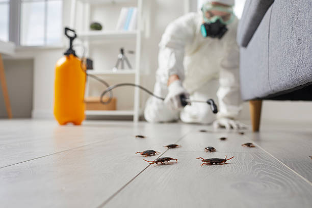 Trusted Fumigation Services service in New Castle, CO - Nex Pest Control