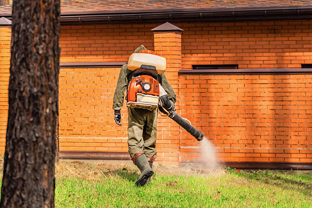 Trusted Ant Control service in New Castle, CO - Nex Pest Control